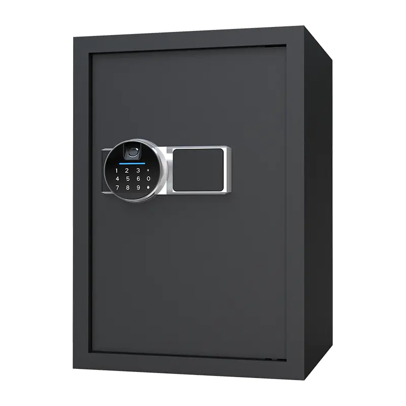 BS0150 48L বায়োমেট্রিক হোম সেফ